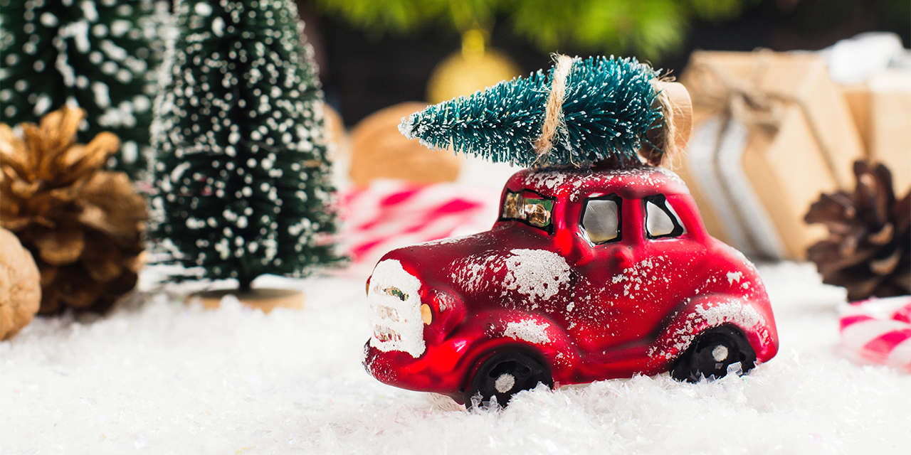 Weihnachtsbaum transportieren