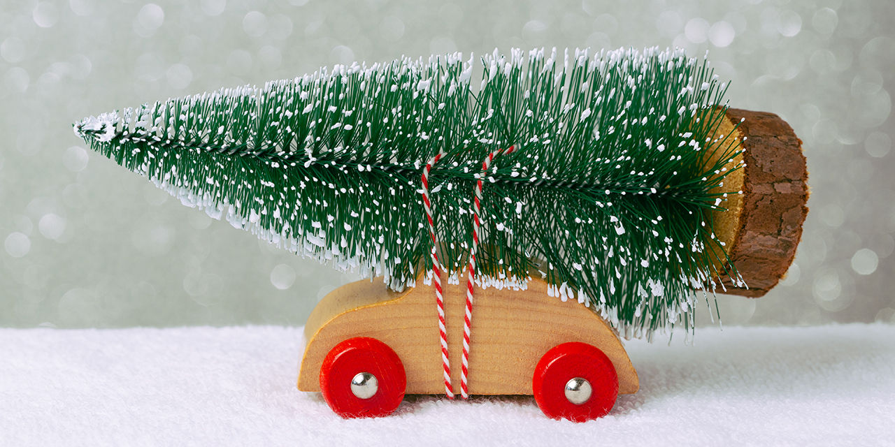 Weihnachtsbaum mit dem Auto transportieren: Tipps und Tricks